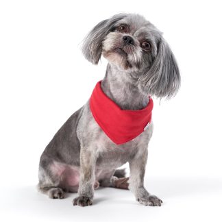 Red Hacci Pet Bandana