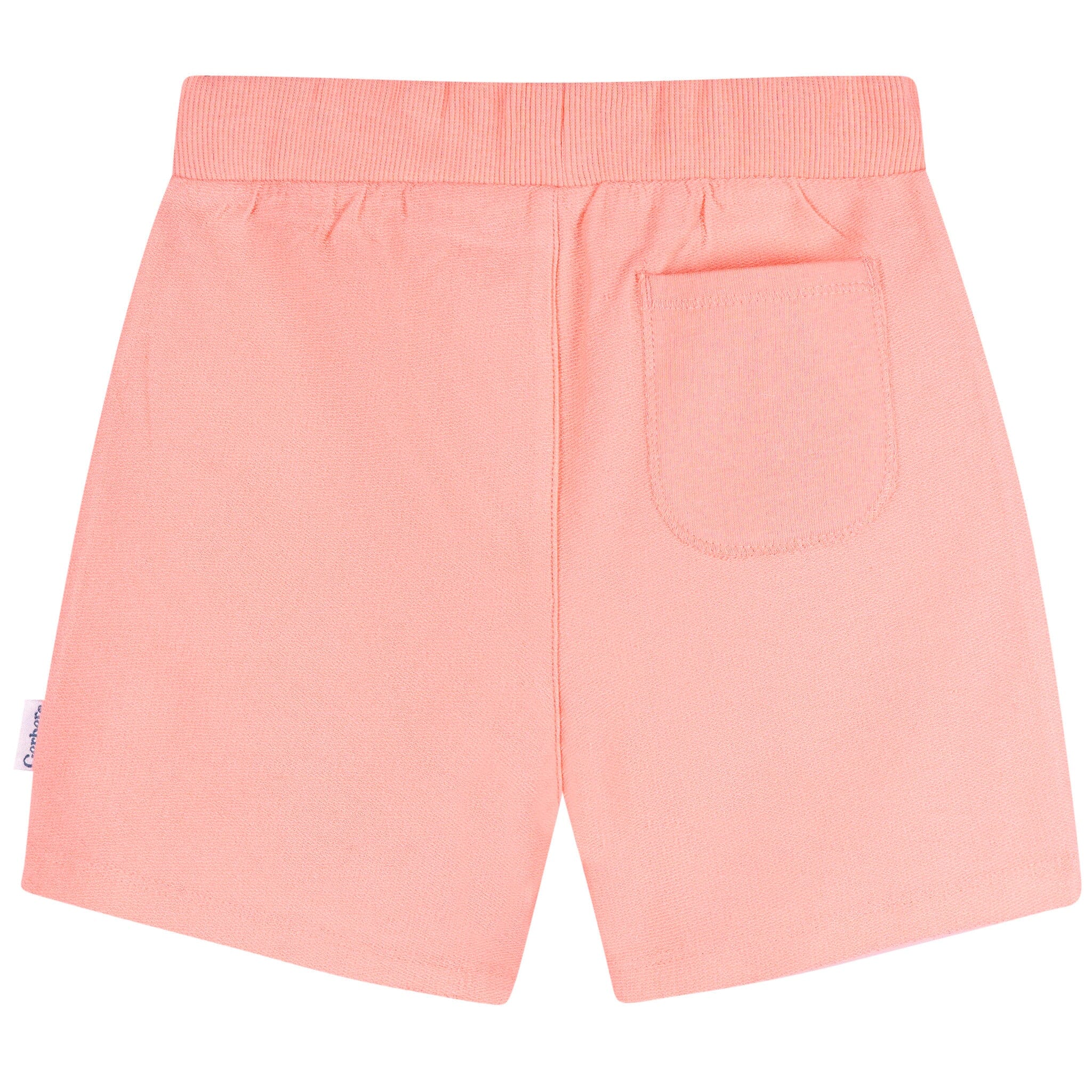 2-Pack Baby & Toddler Girls Pink & Purple Knit Shorts - Image 9
