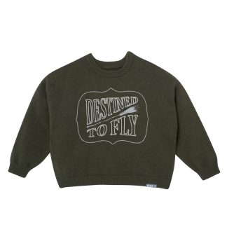 Infant & Toddler Girls Destined to Fly Wicked Sweater