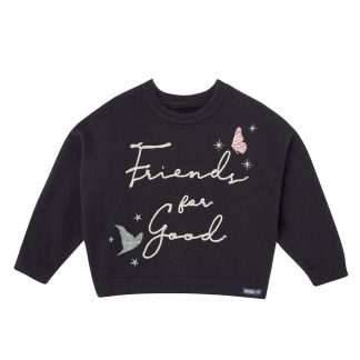 Toddler Girls Friends For Good Wicked Sweater, 3T