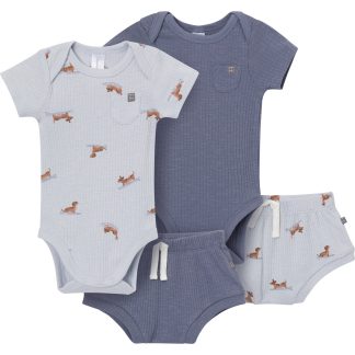 4-Piece Baby Boys Dachshund Surf Short Sleeve Bodysuits and Shorts Set
