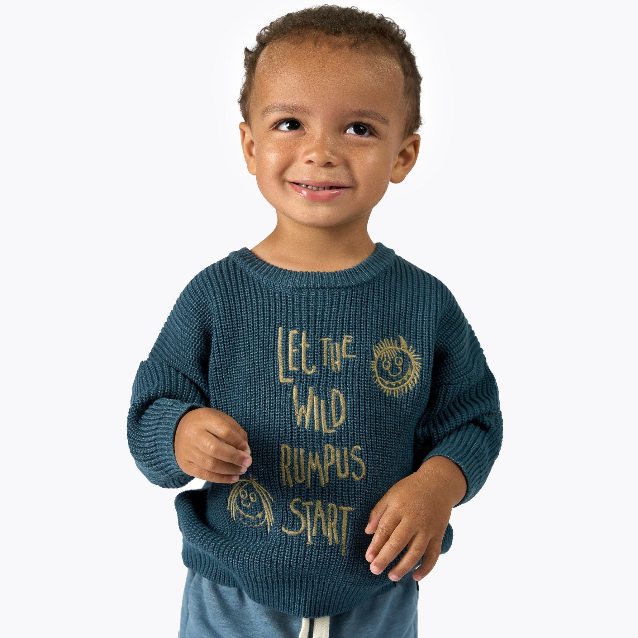 Toddler Neutral Let the Wild Rumpus Start Where The Wild Things Are Sweater, 2T - Image 2