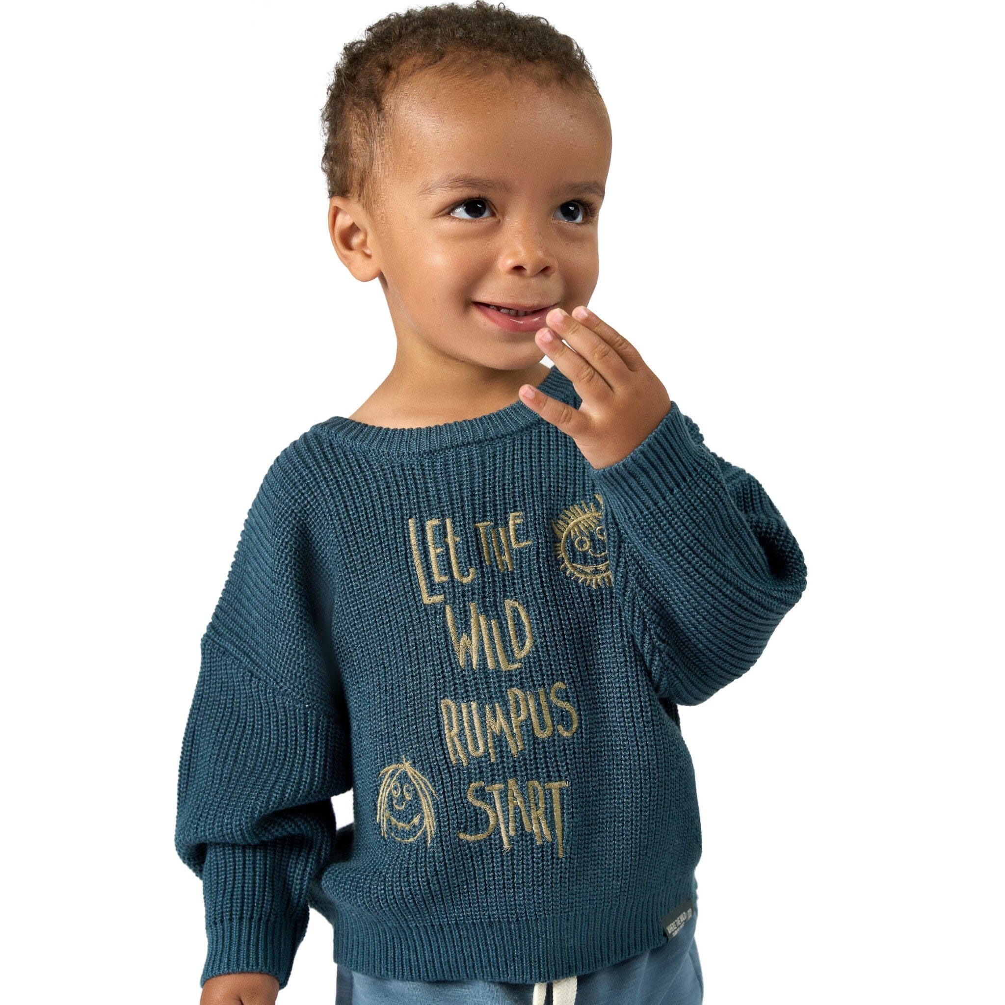 Toddler Neutral Let the Wild Rumpus Start Where The Wild Things Are Sweater, 2T - Image 3